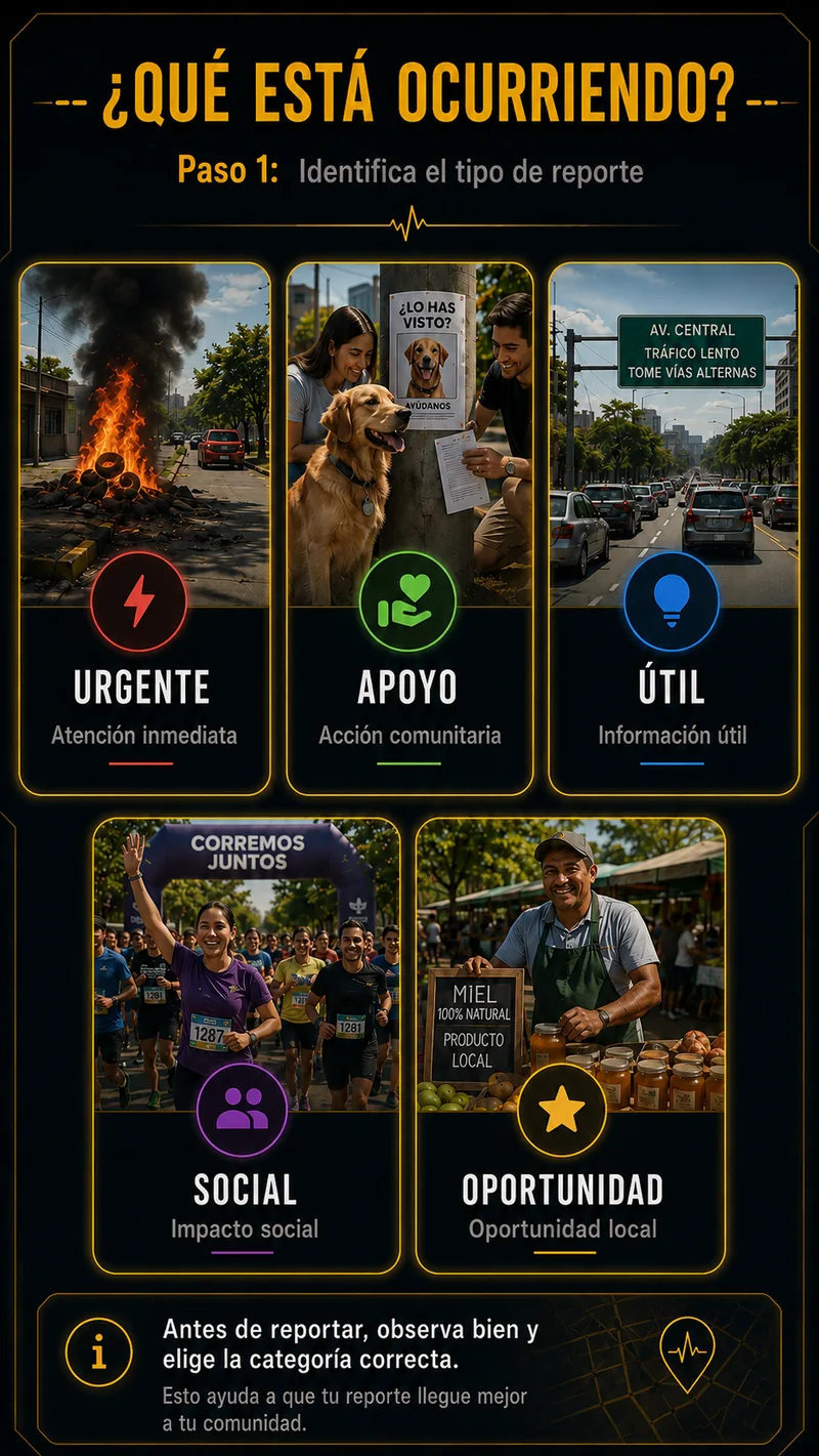Paso 1: Selecciona el tipo de publicación